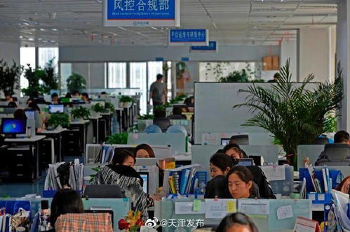 中企云鏈 以創(chuàng)新金融科技服務(wù)安心扎根，以信息技術(shù)咨詢服務(wù)舒心發(fā)展